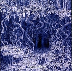 Ildjarn - Forest Poetry